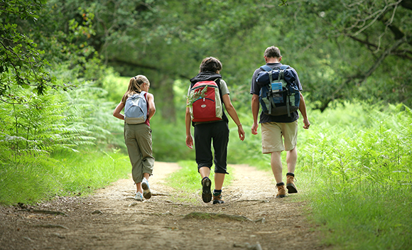Randonnée pédestre autour du camping Les Pins à à Bains-les-Bains dans les Vosges